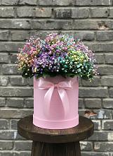 Цветочная композиция из Гипсофила и Розы в шляпной коробке в Горном Саратовская область