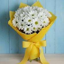 Букет цветов из:  Хризантемы в Горном Саратовская область