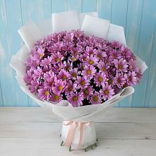 Букет цветов из:  Хризантемы в Горном Саратовская область