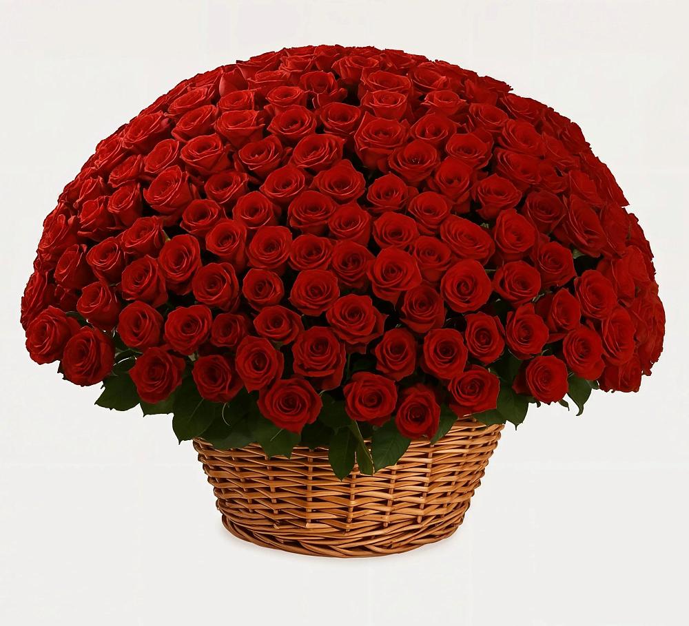 Премиум букет из: Розы в Горном Саратовская область