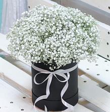 Цветочная композиция из Гипсофила в шляпной коробке #REPLACE_PRED# Горном Саратовская область