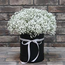Цветочная композиция из Гипсофила в шляпной коробке в Горном Саратовская область
